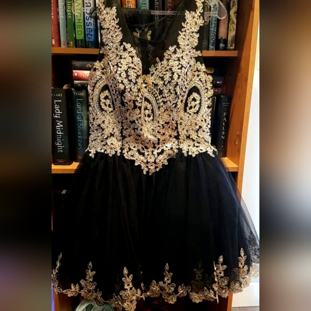 Size 10 Rianna Couture Dress